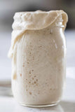 Organic, Non-Gmo Sourdough Starter (My Rustic Roots)