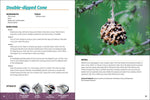 Homemade Bird Food: 26 Fun & Easy Recipes to Feed Backyard Birds by Adele Porter
