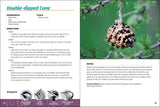 Homemade Bird Food: 26 Fun & Easy Recipes to Feed Backyard Birds by Adele Porter