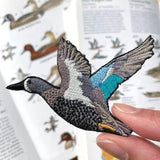 Blue-Winged Teal Patch