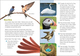 Backyard Birding for Kids: An Introduction to Ornithology
