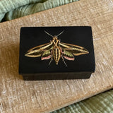 Sphinx Moth Black Soapstone Trinket Jewelry Box