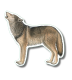 Gray Wolf Nature Sticker