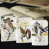 Birds and Trees of North America (Field Notes)