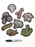 Tree Frog Sticker