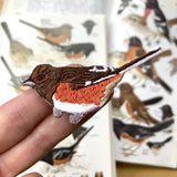 Eastern Towhee Patch