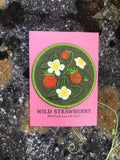 Strawberry Patch