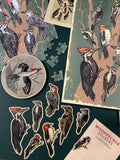 Red Bellied Woodpecker Sticker