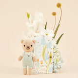 Tiny Charlie the Honey Bear, Gives 10 Meals
