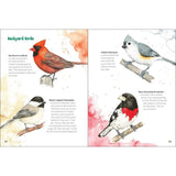 Nature Explorer: Get Outside, Observe, and Discover the Natural World by Jenny Geuder