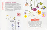 The Little Book of Flower Pressing: All the Basics Plus 11 Projects to Inspire You by Laëtitia Lazerges