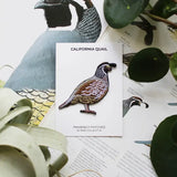 California Quail Patch