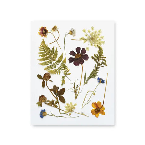 Pressed Wildflowers Art Print, 8x10"