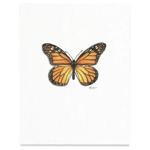Butterflies & Moths / Prints . Monarch
