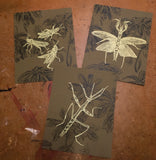 Grasshoppers Print