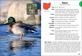 Birds of Ohio Field Guide by Stan Tekiela
