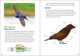 Backyard Birding for Kids: An Introduction to Ornithology