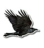 Raven Nature Sticker