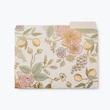Colette File Folder Set