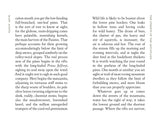 The Streets of the Mountains by Mary Austin (American Roots)