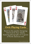 Owls Playing Cards