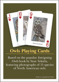 Owls Playing Cards