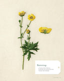 Embroidering Plants and Flowers for Beginners: 33 Plants to Stitch by Charlène Pourias