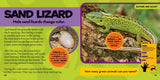 National Geographic Little Kids First Big Book of Reptiles and Amphibians by Catherine D. Hughes