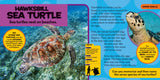 National Geographic Little Kids First Big Book of Reptiles and Amphibians by Catherine D. Hughes