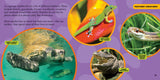 National Geographic Little Kids First Big Book of Reptiles and Amphibians by Catherine D. Hughes