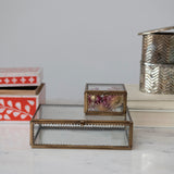 Brass & Glass Display Box with Scalloped Edges