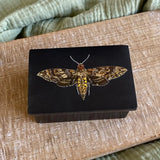 Hawk Moth Black Soapstone Jewelry Box