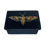 Hawk Moth Black Soapstone Jewelry Box
