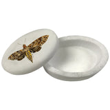 Hawk Moth White Oval Soapstone Trinket - Jewelry Box, 3"