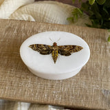 Hawk Moth White Oval Soapstone Trinket - Jewelry Box, 3"
