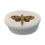 Hawk Moth White Oval Soapstone Trinket - Jewelry Box, 3"