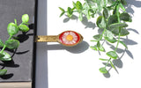 Pressed Flower Bookmark - Fleabane, Oval, Antique Bronze