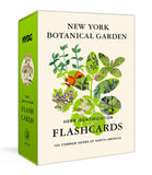 New York Botanical Garden Herb Identification Flashcards: 100 Common Herbs of North America - Ingram