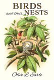 Birds and their Nests - Ingram