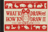 What to Draw and How to Draw It - Ingram