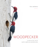 Woodpecker: A Year in the Life of North American Woodpeckers - Ingram