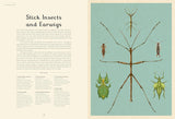Insectarium: Welcome to the Museum (an Illustrated Junior Entomology Guide to Wild Bug Species, Biodiversity, and Nature Conservation for Kids Ages 8-12) by Dave Goulson