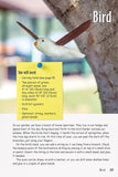 Quick & Easy Whittling for Kids: 18 Projects to Make with Twigs & Found Wood by Frank & Lillian Egholm