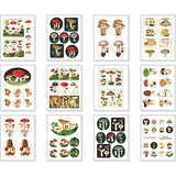 Vintage Mushrooms Stickers by Cavallini