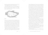 The Lost Art of Reading Nature's Signs by Tristan Gooley