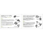 Mushroom Finder: Identifying Fungi in North America (Nature Study Guides)