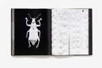 Microsculpture: Portraits of Insects by Levon Biss