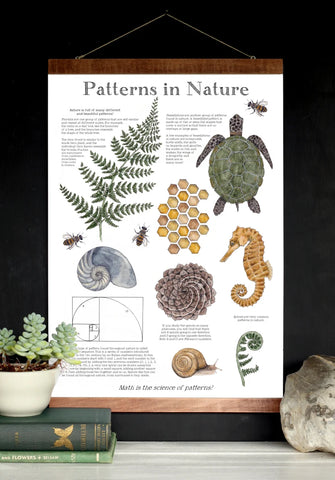 Patterns in Nature Math School Room Poster - 12 x 18