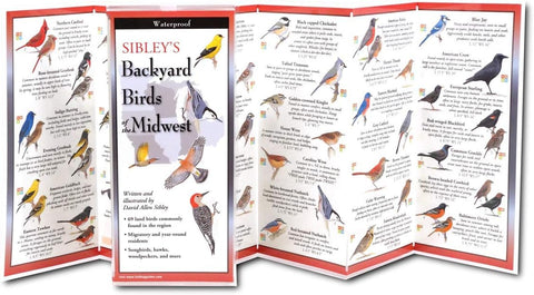 Sibley's Backyard Birds of the Midwest (Folding Guides)