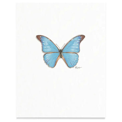 Butterflies & Moths / Prints . Blue Morpho